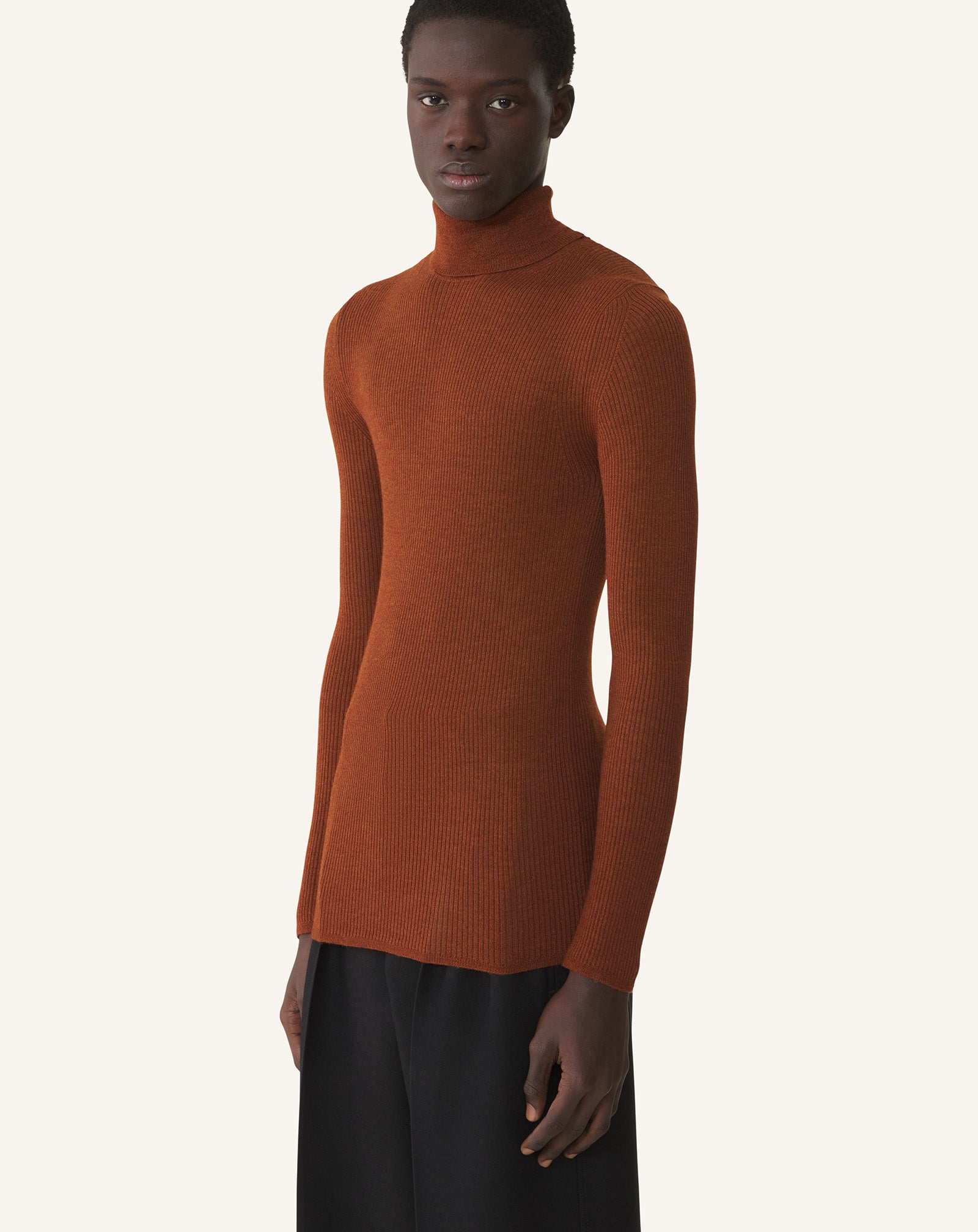 MERINO WOOL AND SILK TURTLENECK SWEATER