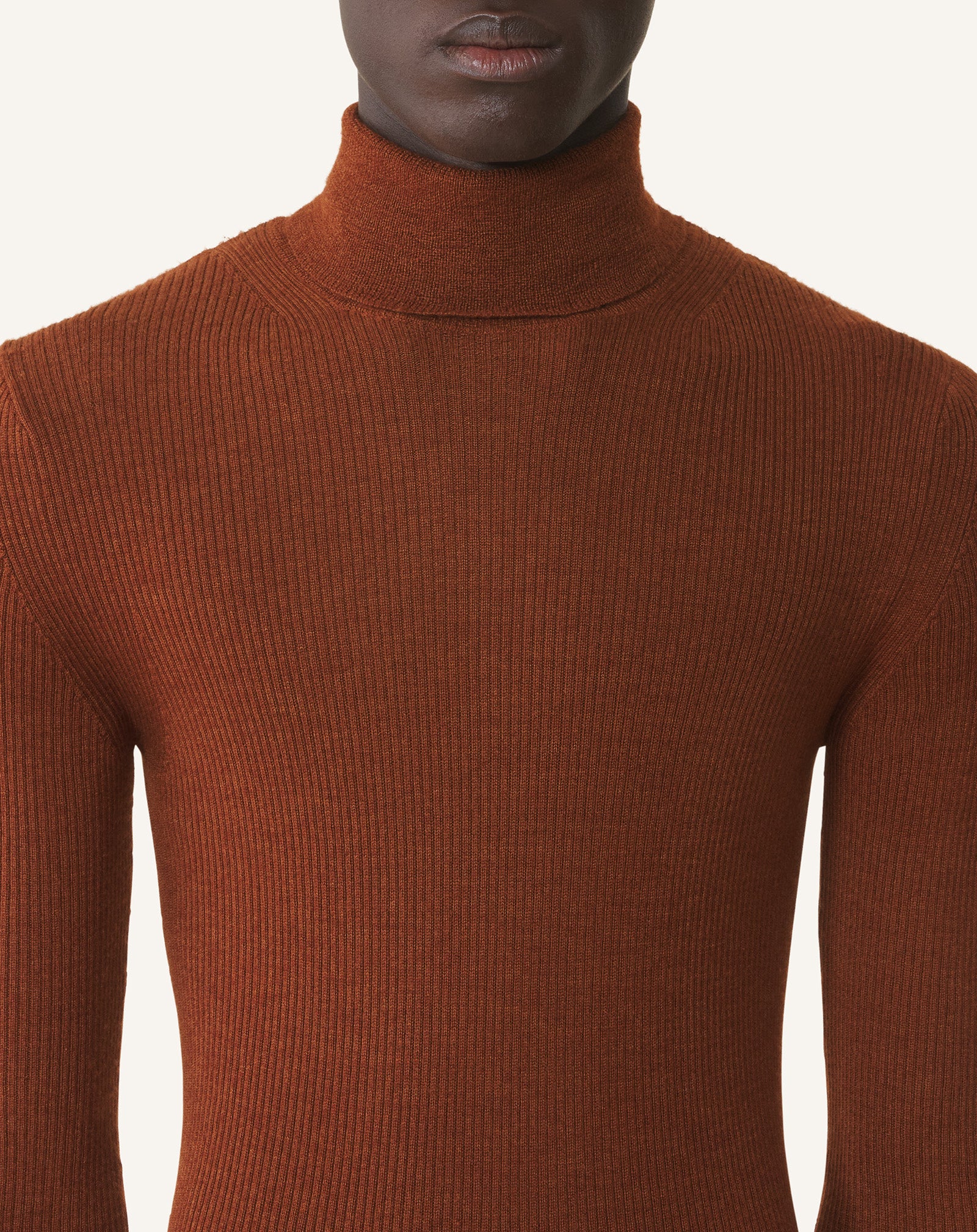 MERINO WOOL AND SILK TURTLENECK SWEATER