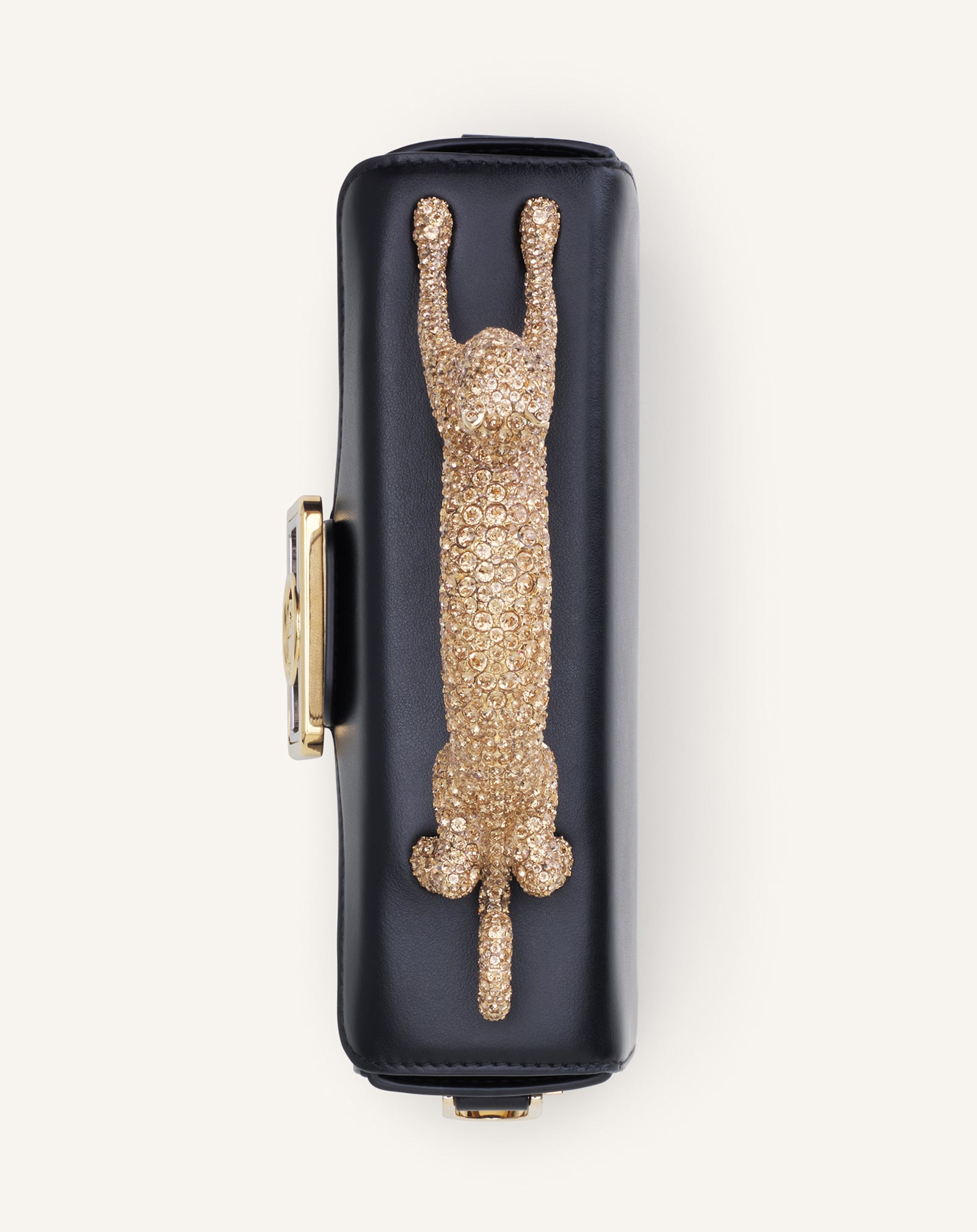 Black Leather Nano Pencil Cat Bag With Rhinestones | Lanvin