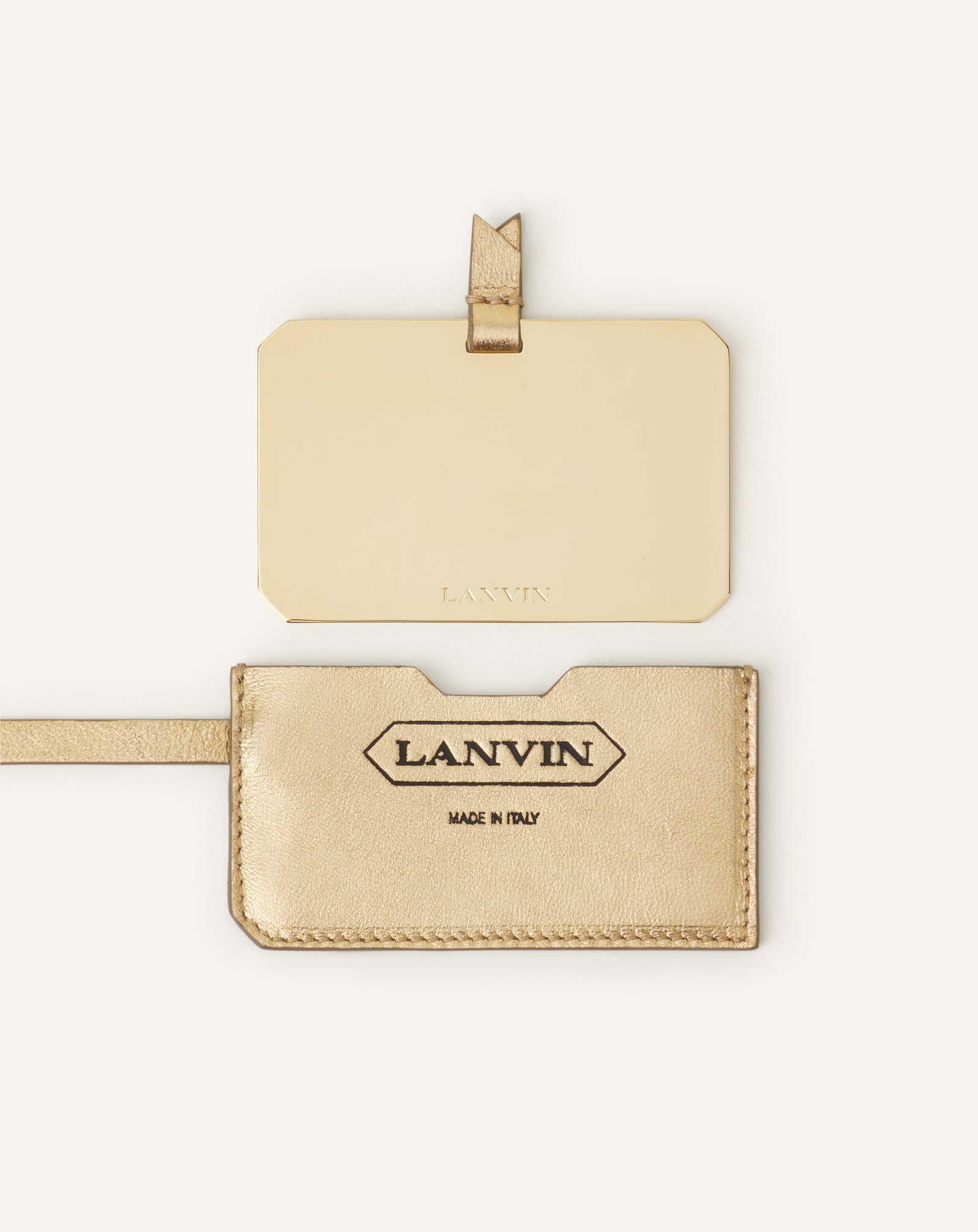 SILVER CATCH BY LANVIN BUCKET BAG IN RAFFIA